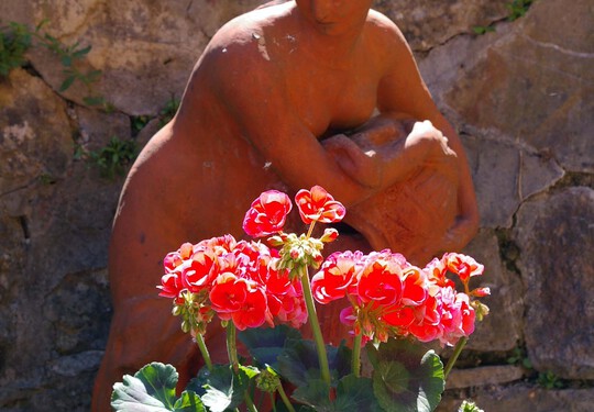 Il giardino