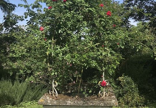 Il giardino